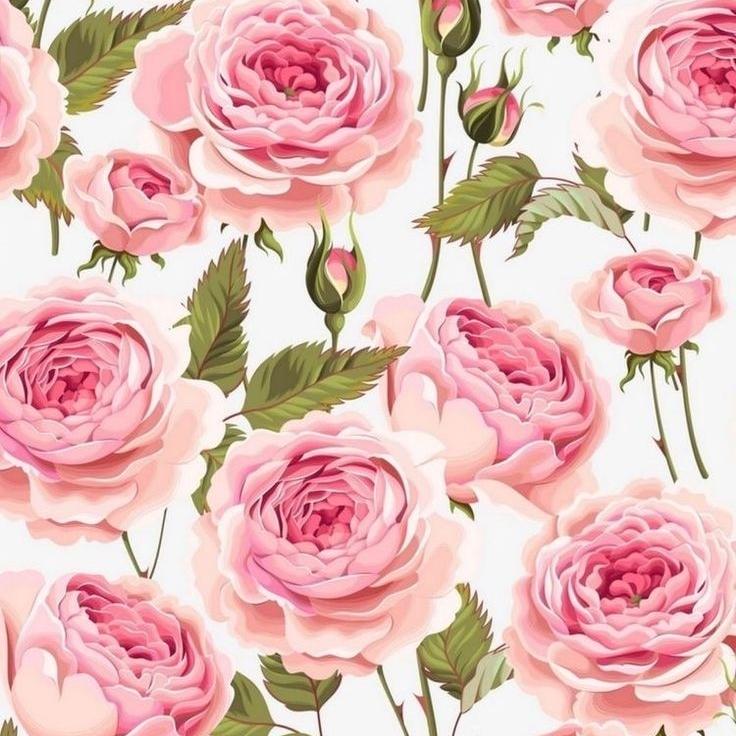 Gambar pink rose
