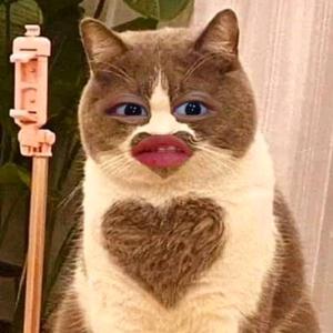 PUSA-avatar