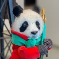 anya_shashinsuky