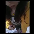 bell