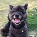 mokotarou