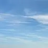 ゆう໒꒱릴리