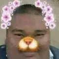poo3361