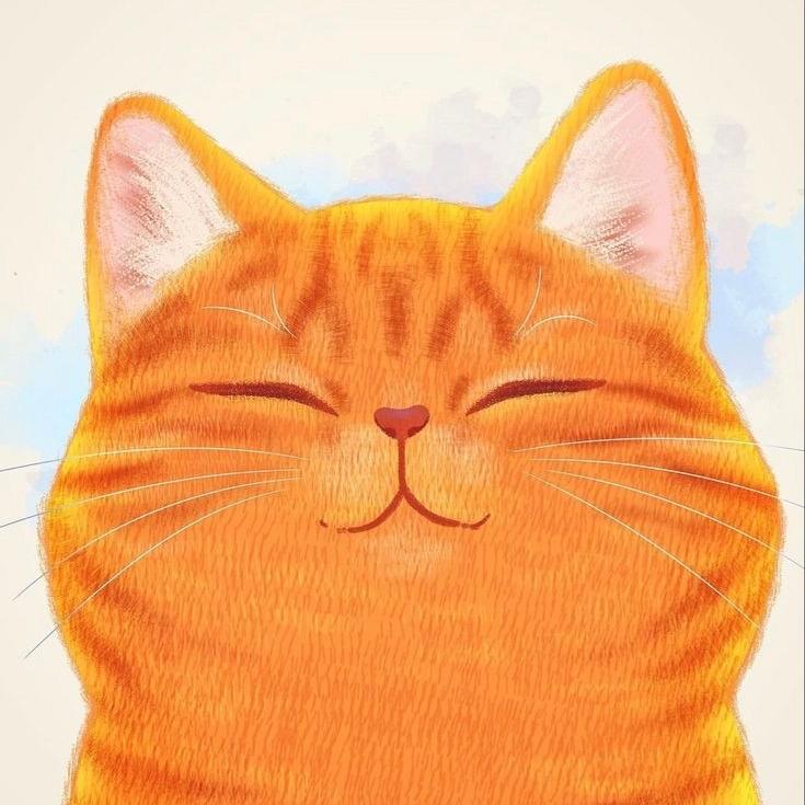 รูปภาพของ แมวตัวอ้วนสีส้ม