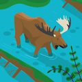 Matthew Moose