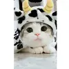 Meow1730-avatar