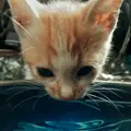 ftrhrfqwrty