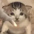sucks_editing
