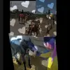 caballos perros-avatar