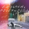 Javed Ali Solangi-avatar