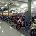 febri8255