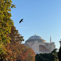 Azzahra1187