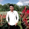 Nguyễn Bền136