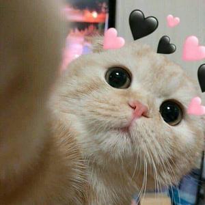 MAE♡-avatar