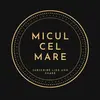 micul cel mare-avatar