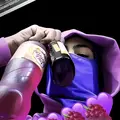 bizz308