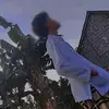 ditzzxy_833