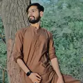 Sunnysb