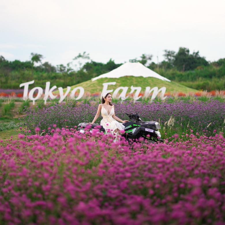 รูปภาพของ TokyoFarm 