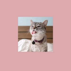 YUKIRA😺