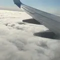 Mini egg 