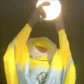  Minion cult 499