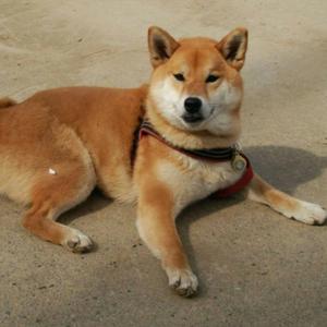 スタジオLOUIS by明石屋