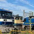 ゆっくり鉄道チャンネルTikTok版