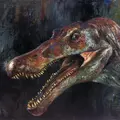 spino_mobile