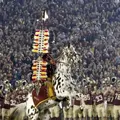 FSUprodz
