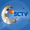 SCTV587-avatar
