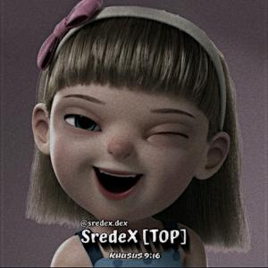 Sredex [ TOP ]