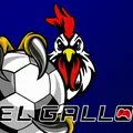 ElGallo96