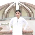 shinwari Tiger