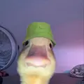 1K