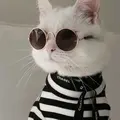 Bahri_saputra