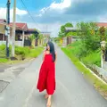 Artha sari dewi pandiangan