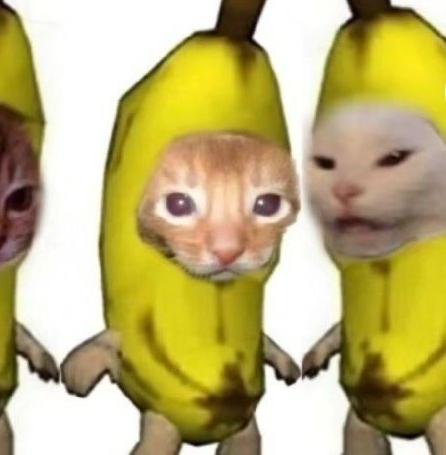 รูปภาพของ Bananacats 