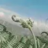 Wishmoon-avatar