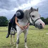 horseyss -avatar