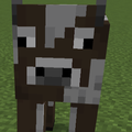 Cow The rock Johnson
