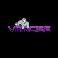 Owner Varcise 