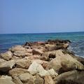 Dogan Onoral
