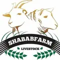 Shababfarm Livestock