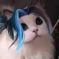 Baim Tiktok