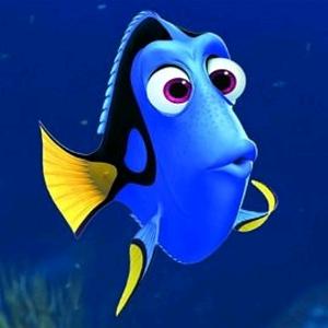 dory [VPN]-avatar