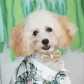 ヨシ405