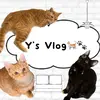 Ys Vlog-avatar