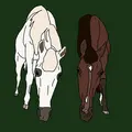 _horse__editzz_