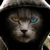 LOVE MONSTER-avatar
